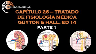 GUYTON amp HALL CAP 26 FILTRACION GLOMERULAR FLUJO SANGUINEO RENAL Y SU CONTROL PARTE 1 [upl. by Allix]