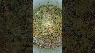 ration rice biriyani റേഷൻ ആരിൽ ബിരിയാണി food cooking cookingfood rice😜tastemadebiriyani [upl. by Lingwood]