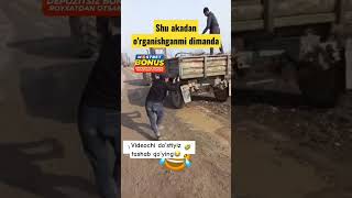 VIDEOCHI DOSTIZGA TASHAB QOYING😂rekomendasikomik rekchiq youtubeshorts tiktok reels 1mln top [upl. by Bernstein507]