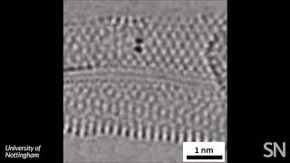 Watch chemical bonds forming and breaking in a molecule  Science News [upl. by Aicnilav]