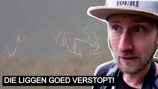 Vlog 336 Verstopte geweidragers 🦌  Sony A7IV [upl. by Meara]