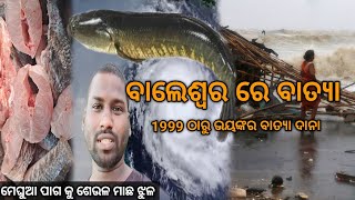 ବାଲେଶ୍ୱର ରେ ବାତ୍ୟା ଦାନା ରୋ ପ୍ରଭାବ  Odisha Cyclone In 2024  Baleshwar Cyclone Dana  Odia Vlog [upl. by Carlynn]