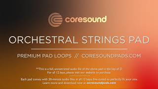 Coresound Pads  Orchestral Strings  Full Sample Key of D [upl. by Hgielsel]