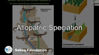 Allopatric Speciation Biology Lecture  Sabaqpk [upl. by Aimal]