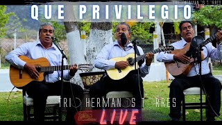 Trio Hermanos Torres  Que Privilegio Live [upl. by Felicdad]