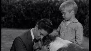 Lassie  Episode 116  quotTransitionquot  Season 4 13 12011957 [upl. by Apilef]