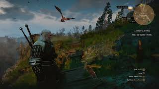 The Witcher 3  Kill a Wyvern via Quen Axii and Thousand Flowers Full Armor and Sword Set PS5 40 [upl. by Sigsmond]