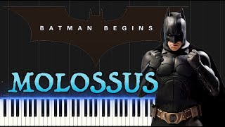 Batman Begins  Molossus  Hans Zimmer Piano Tutorial Synthesia [upl. by Nugesulo]