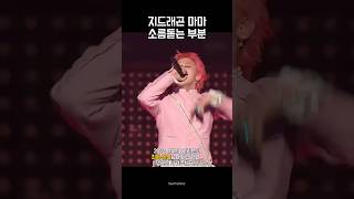 24년 마마 여러분의 최애 장면은 지드래곤 태양 대성 [upl. by Engel]