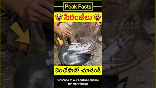 😱అమ్మో సిరంజీలు😱 Lipstick making at home factsintelugu amazingfacts peakfacts shorts [upl. by Guibert]