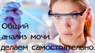 Как сделать анализ мочи самостоятельно в домашних условиях [upl. by Leirum]