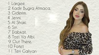 ShararaTeri Galiyan Arabic Remix Music 2024 I Best New Trend Arabic Remix Songs 2024 [upl. by Mailand]