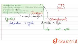 A  Sexual reproduction shows considerable variation in the type and formation [upl. by Sandra]