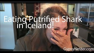 Eating Putrified Shark in Reykjavik Iceland  Oh my [upl. by Strohben]