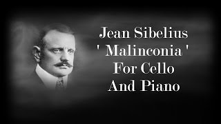 Sibelius  Malinconia [upl. by Ecaj951]