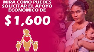 Apoyo a madres solteras 2022 Mira cómo puedes solicitar el apoyo económico de mil 600 pesos [upl. by Bergstein247]