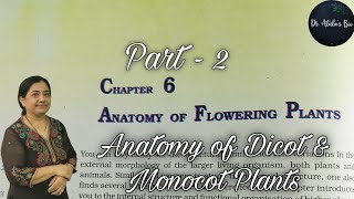 Anatomy of flowering plants  Part 2  Class 11 Biology  NCERT NEET [upl. by Ahsykal885]