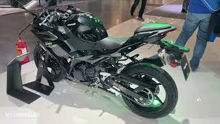 2024 Kawasaki Ninja 500  Walkaround  EICMA 2023 Debut [upl. by Nilac]