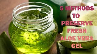 Preserve Aloe Vera Gel At Home [upl. by Aloiv]