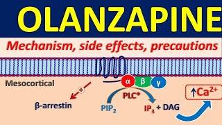 Olanzapine 5 mg and 10 mg  Uses dose and side effects [upl. by Andrus]