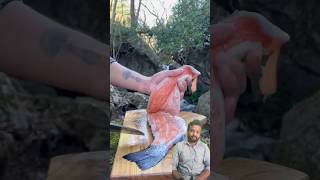 quotZesty Lemon Garlic Salmon A Perfect Catchquot youtube youtubeshorts shortvideo LemonGarlicSalmon [upl. by Grosz]