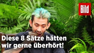 8 irre Sätze aus dem Dschungelcamp 2018 [upl. by Kehr]