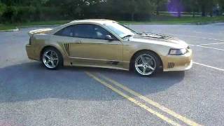 gold saleen 278 [upl. by Anitnuahs]