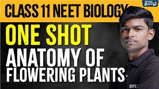 ONE SHOT BIOLOGY Anatomy of Flowering Plants  Class 11  Tony Sir  Xylem NEET Tamil [upl. by Eyoj]