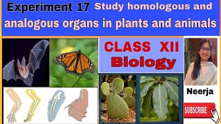 Study of Homologous and Analogous organs In plants and animals Expt 17Class 12 BiologyNeerja [upl. by Thordia]