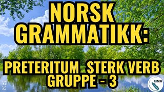 Norsk Grammatikk Preteritum Sterk Verb 3Norwegian Grammar Past Tense StrongVerbs3 norsk grammar [upl. by Anua]