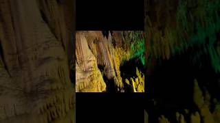 Stalagmites amp Stalactites at Florida Caverns State Park cave shorts [upl. by Akinod]