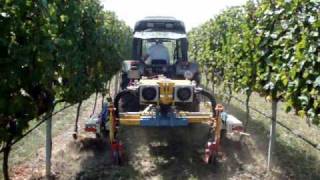 Attrezzatura per vigne con lame interfilari dx e sx modello EXPO DOPPIO FULL [upl. by Yam315]