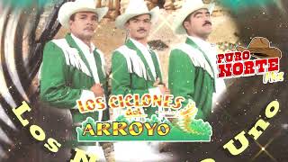 Los Ciclones Del Arroyo  Los Numero Uno Album Completo [upl. by Olly]