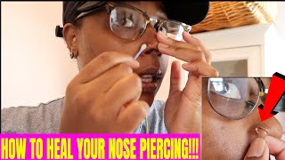 HOW TO CLEAN AND HEAL YOUR NOSE PIERCING  nose piercing update [upl. by Trenton]