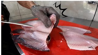 FILETAGEM DE TILAPIA APROVEITANDO DA ÚLTIMA CARGA [upl. by Nosnehpets]