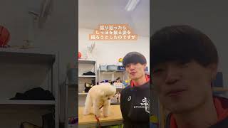 ドッグトレーナーの卵×ひまわり🐶【北海道エコ動物自然専門学校】 dog 動物 ドッグトレーナー [upl. by Nibor]