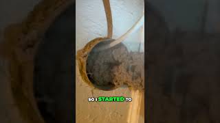 Shocking Dryer Vent Cleanup Years of Hidden Lint [upl. by Emad]