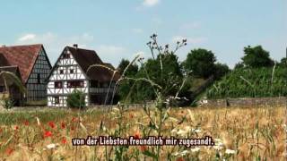 Heimat deine Sterne  Instrumental  zum Mitsingen [upl. by Chouest]