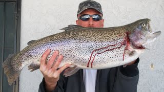 Hesperia Lake CA Trout Fishing  Fish of a Lifetime [upl. by Eloise]