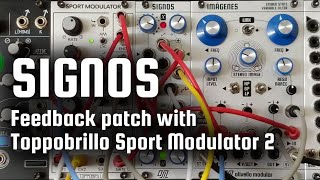 Olivella SIGNOS  Sport Modulator 2  Feedback [upl. by Hosfmann809]