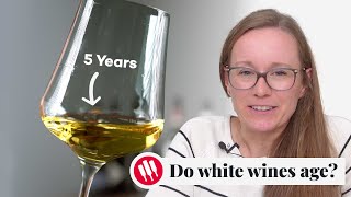 Learn by Tasting ep 26 Wine Folly [upl. by Clemence148]