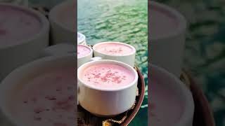 Chai Song  Tea Status  Tea Song  Chai Wala Gana  Chai Ka Song  Chai Gana  Chai Song Hindi 2024 [upl. by Hsakaa715]