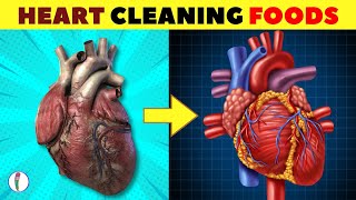 Top 10 Heart Healthy Foods  Heart healthy Diet  Heart healthy meals  Heart healthy food [upl. by Jamey]