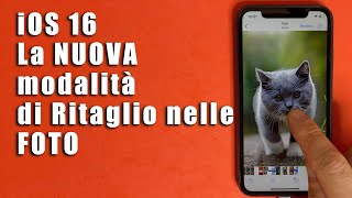 Come Ritagliare dallo Sfondo e Spostare un Soggetto dalle Foto su iOS 16 dell iPhoneiPad [upl. by Ettevad]