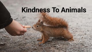 Kindness to Animals  Class 9 [upl. by Mundt364]