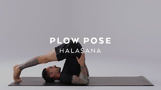 How to do Plow Pose  Halasana Tutorial with Dylan Werner [upl. by Simona707]