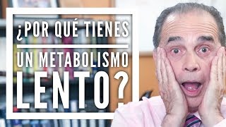 Episodio 1607 ¿Por Qué Tienes Un Metabolismo Lento [upl. by Domph]