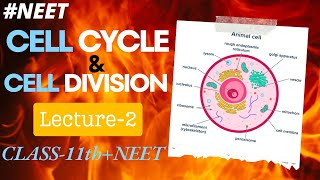 BIOLOGY L2 CELL CYCLE AND CELL DIVISION ENLIGHT BATCH NEET 11 PCB ELITE ACADEMY [upl. by Melly404]