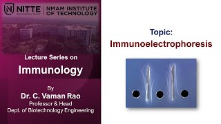 Immunology  VT5 Immunoelectrophoresis [upl. by Antons]