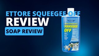 Ettore Squeegee Off Window Cleaning Concentrate Review  Mendoza Exterior Cleaning [upl. by Mcgregor170]